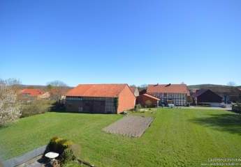 486224-Vorschaubild4