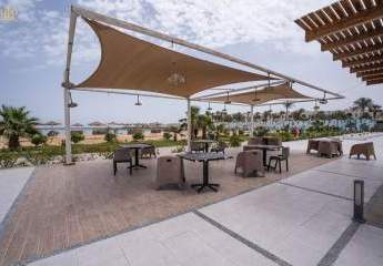 465529-Vorschaubild3