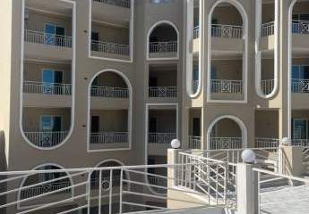 469484-Vorschaubild4