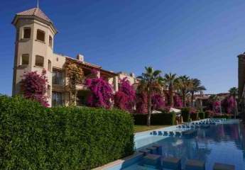 472727-Vorschaubild3