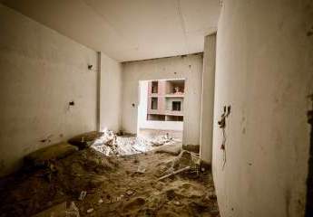 477847-Vorschaubild2