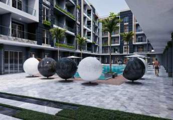 481555-Vorschaubild3