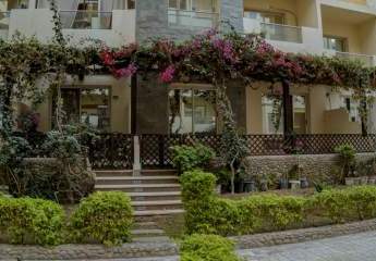 483004-Vorschaubild3