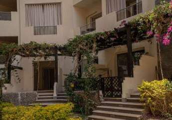 483004-Vorschaubild4