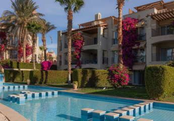 485429-Vorschaubild3