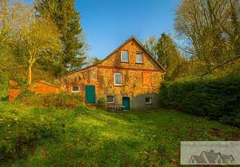 463355-Vorschaubild2