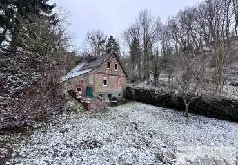 472751-Vorschaubild4