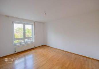 444733-Vorschaubild3