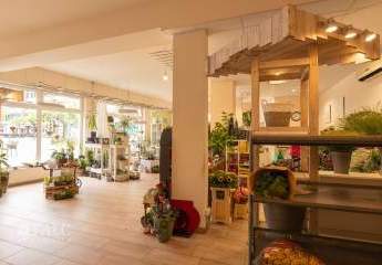 453629-Vorschaubild2