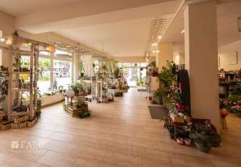 453630-Vorschaubild3