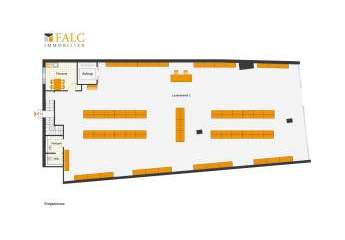 455903-Vorschaubild2