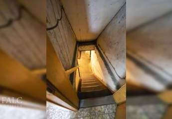 481557-Vorschaubild4