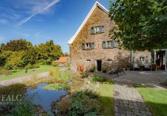 485304-Vorschaubild4