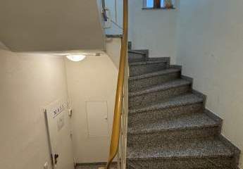 479229-Vorschaubild3