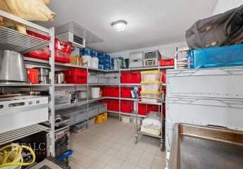 486476-Vorschaubild4