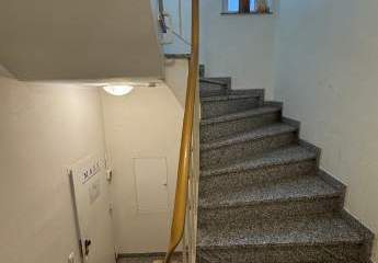 496248-Vorschaubild3