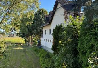 424232-Vorschaubild4