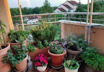 Helle 3,5-Zimmerwohnung mit Südbalkon in Heppenheim in einem Mehrfamilienhaus