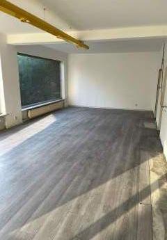 404593-Vorschaubild2
