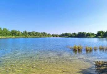 427696-Vorschaubild2