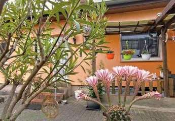 442539-Vorschaubild2