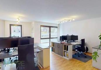 463645-Vorschaubild3