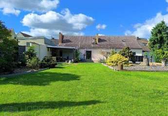 447857-Vorschaubild2