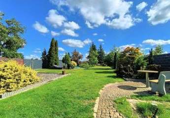 447857-Vorschaubild3