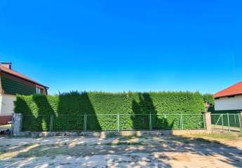 483449-Vorschaubild2