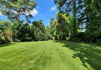 483449-Vorschaubild4