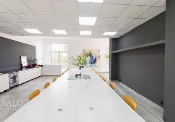 481010-Vorschaubild2