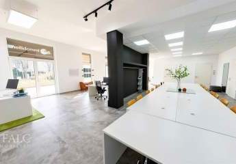 481010-Vorschaubild4