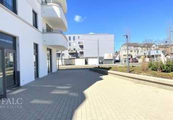 481910-Vorschaubild2