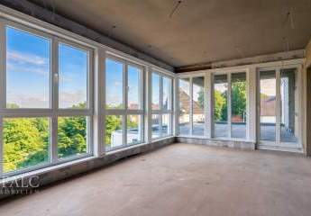 495451-Vorschaubild4