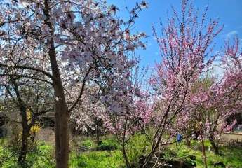 410422-Vorschaubild4