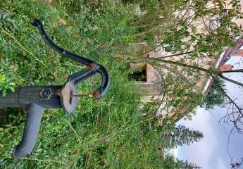 470406-Vorschaubild3