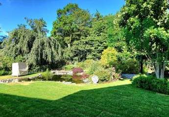 460461-Vorschaubild4