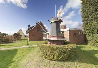 482670-Vorschaubild4