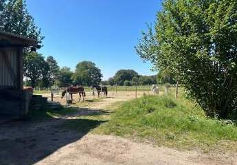 486021-Vorschaubild3