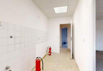 452932-Vorschaubild2