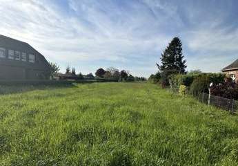 424255-Vorschaubild4