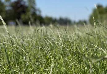 424255-Vorschaubild2