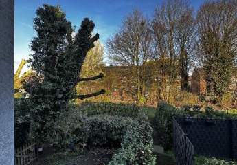 479392-Vorschaubild2