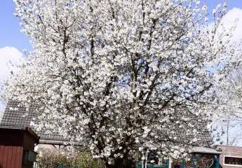 482101-Vorschaubild2