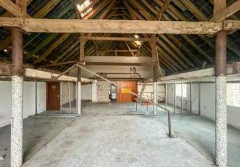 486394-Vorschaubild2