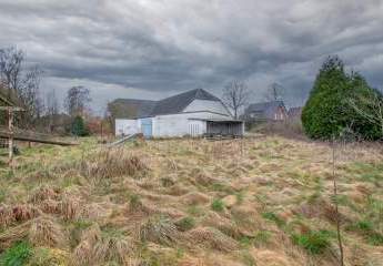 486394-Vorschaubild3