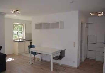 1,5-Zimmer Wohnung, EG, möbliert, TG-Stellplatz, Terasse und Zugang zum Garten in Heilbronn