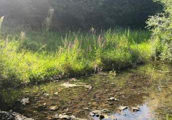 Rarität in Traumlage – Wohnen am Bach mit unverbaubarem Blick