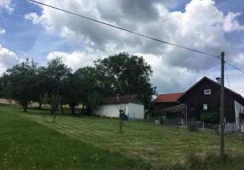 473945-Vorschaubild2