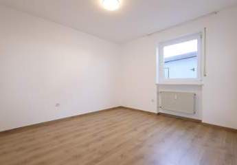 481813-Vorschaubild3